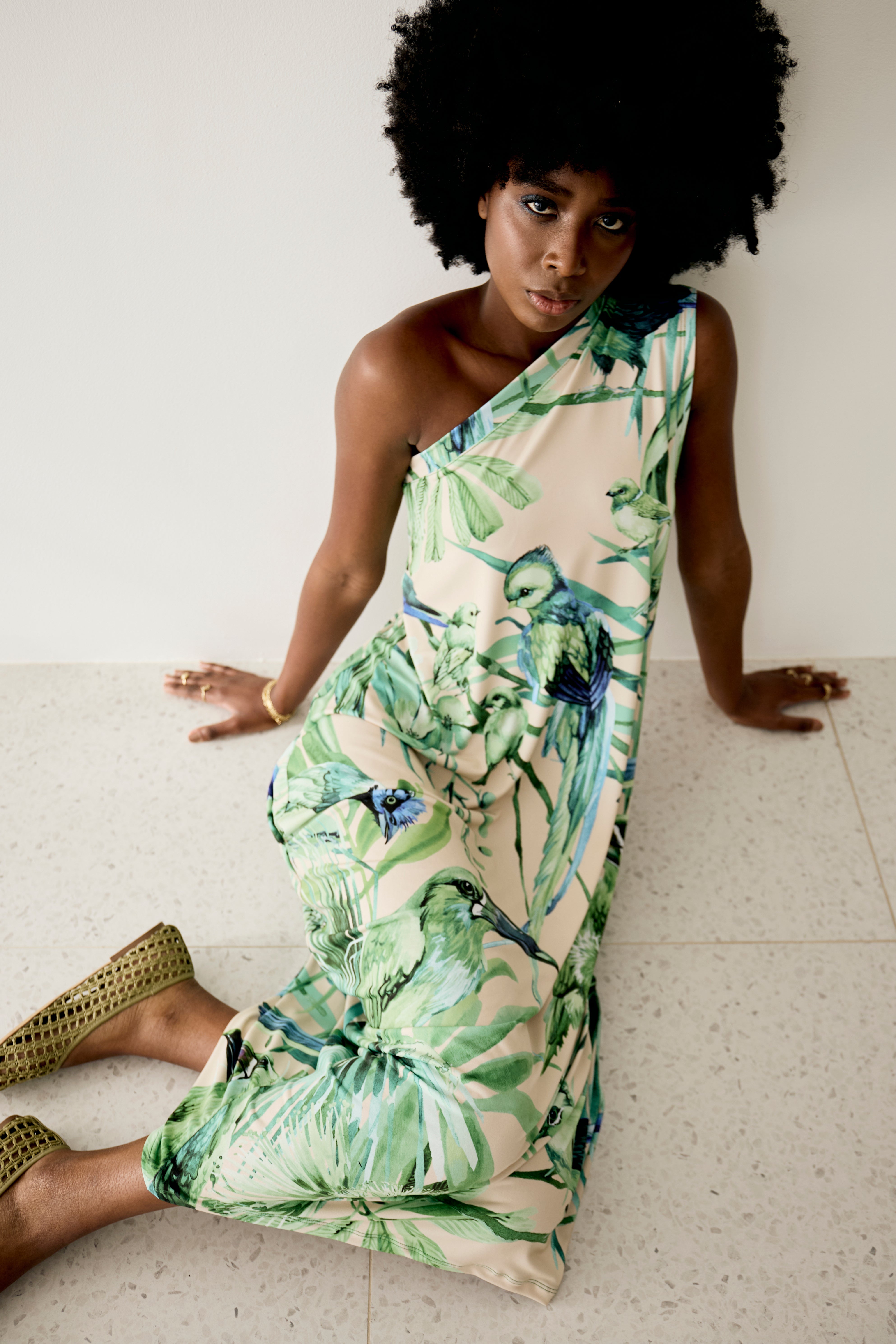 Zara Dress