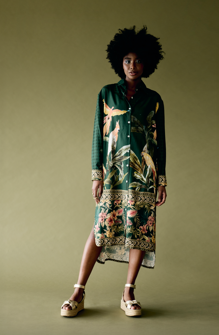 Shirt Dresss